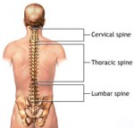 spine-conditions